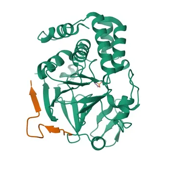 Anticorpo policlonale coniglio Anti-PPP1R3B per WB, ELISA - Q86XI6