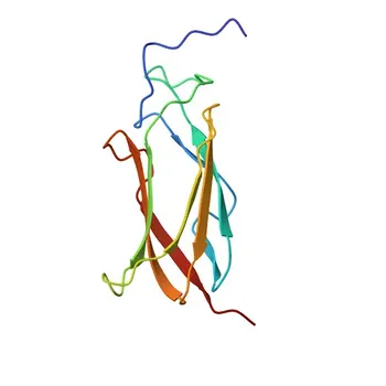 Anticorpo policlonale coniglio anti-TRIM45 per IF/ICC ed ELISA - Q9H8W5