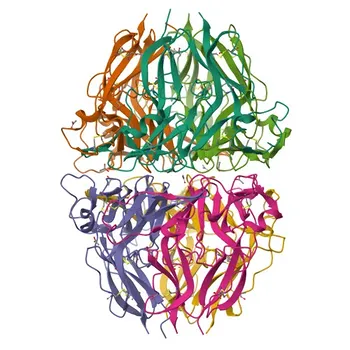 Anticorpo Policlonale Anti-COL4A1 per WB e ELISA - P02462