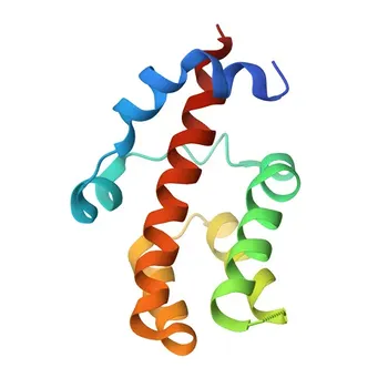 Anti-RBM25 Polyclonal Antibody for WB, IF/ICC, ELISA - P49756