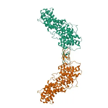 Anti-RASGRP1 Polyclonal Antibody for WB, IF/ICC, ELISA - O95267