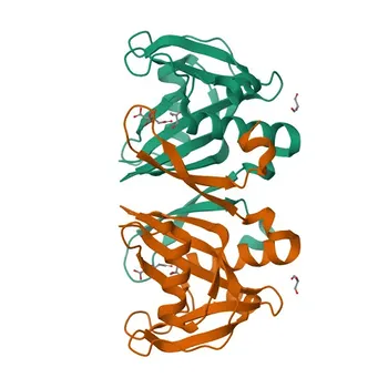 Anti-NUDT6 Polyclonal Antibody for WB, IF/ICC, ELISA - P53370