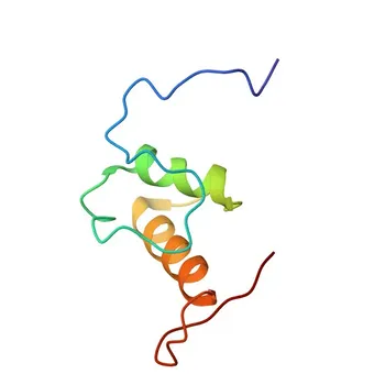 Anticorpo Policlonale Anti-MKL1 per WB, ELISA - Q969V6