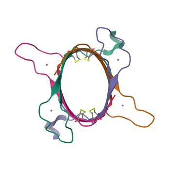 Anticorpo Policlonale Anti-VPS39 per WB, IF/ICC, ELISA - Q96JC1