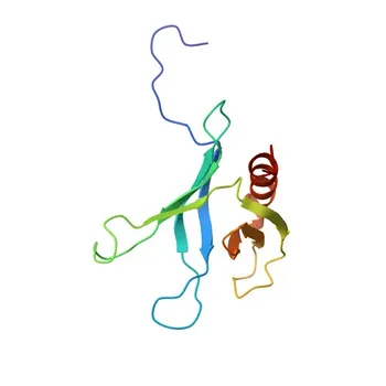 Phospho-DOK2-Y299 Coniglio pAb - O60496
