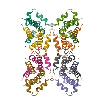 مضاد متعدد النسائل ضد S100A10 للترسيل الغربي (WB)، والمناعة النسيجية (IHC-P)، والمناعة الخلوية (IF/ICC)، ومقايسة ELISA - P60903