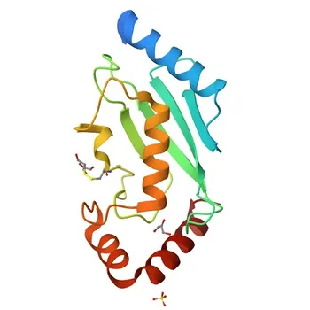 Anti-UBE2D2 Polyclonal Antibody for WB - P62837