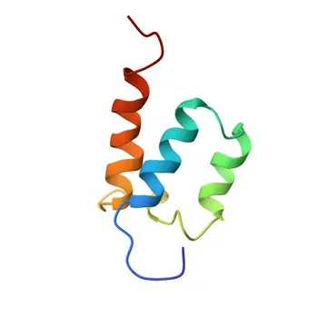 Anticorpo Policlonale Anti-SUGP2 per WB, ELISA - Q8IX01