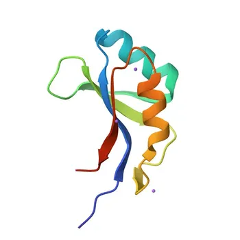 Anti-PCSK1 Polyclonal Antibody for WB, IF/ICC, ELISA - P29120