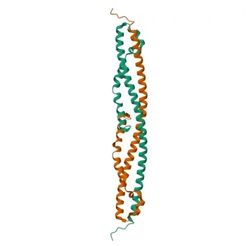 Anti-RPRD1B Polyclonal Antibody for WB, IHC-P, ELISA - Q9NQG5