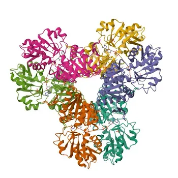 Anti-PRPS2 Polyclonal Antibody for WB, ELISA - P11908