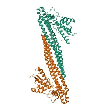 Anti-SNX9 Polyclonal Antibody for WB and ELISA - Q9Y5X1