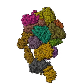 Phospho-eIF2α-S49 Kaninchen-Polyklonaler Antikörper für WB, IHC-P - P05198