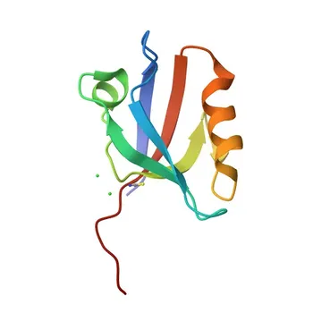 Anticorpo policlonale di coniglio anti-LPAR2 (EDG4, LPA2) per WB, ELISA - Q9HBW0