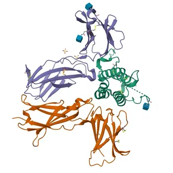 Anti-TSLP Rabbit Polyclonal Antibody for WB, IF/ICC, and ELISA - Q969D9