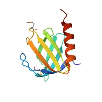 Anti-DOK5 Polyclonal Antibody for WB, ELISA - Q9P104