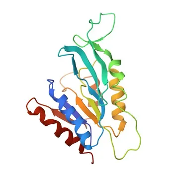 Anti-NTPCR Rabbit Polyclonal Antibody for WB, IF/ICC, ELISA - Q9BSD7