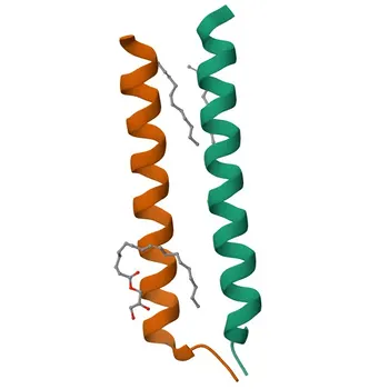 Anti-TYROBP Polyclonal Antibody for WB, ELISA - O43914