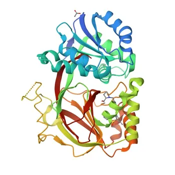 Anti-SPHK1 Rabbit Polyclonal Antibody for WB and ELISA - Q9NYA1