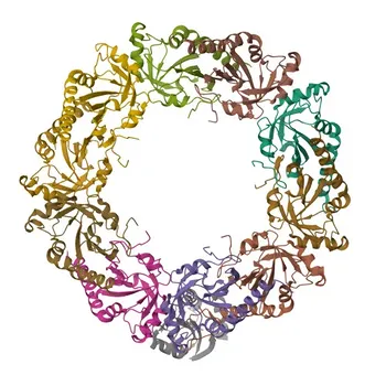 Anti-TXNDC5 Polyclonal Antibody for WB - Q8NBS9