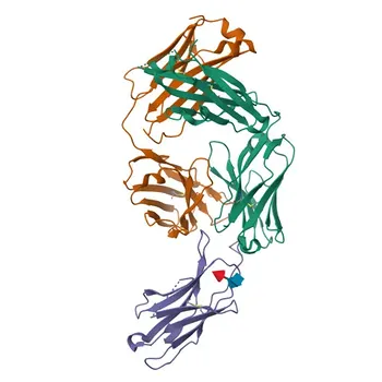 Anti-PD-1/CD279 Rabbit Polyclonal Antibody for WB, IF-P, ELISA - Q15116