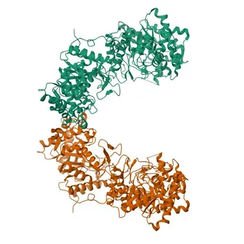 Anticorpo policlonale anti-Klotho per WB ed ELISA - Q9UEF7