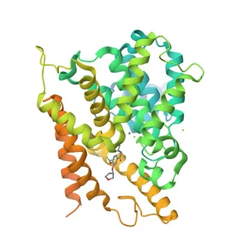 Anticorpo policlonale anti-PDE4D per WB, ELISA - Q08499