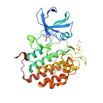 Anticorpo policlonale coniglio anti-CSNK1E per WB, IHC-P, IF/ICC, ELISA - P49674