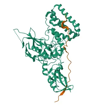 Anticorpo policlonale anti-JAK1 per WB, IF/ICC, ELISA - P23458