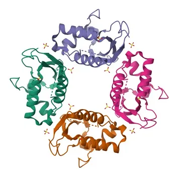 Anticorpo policlonale coniglio anti-PIK3C2A per WB, IHC-P, IF/ICC, IP, ELISA - O00443