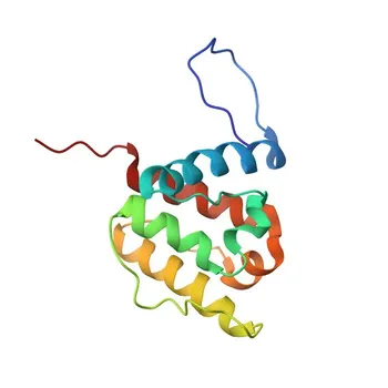 Anticorpo policlonale coniglio NAV2 per WB, IHC-P, ELISA - Q8IVL1