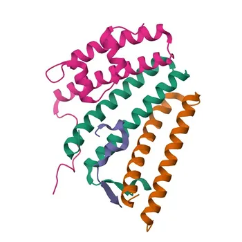 Anti-VPS37B Polyclonal Antibody for WB, ELISA - Q9H9H4