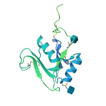 Anticorpo policlonale Anti-Lyve1 da coniglio per WB e ELISA - Q8BHC0