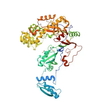 Anti-PUS7 Rabbit Polyclonal Antibody for WB, ELISA - Q96PZ0