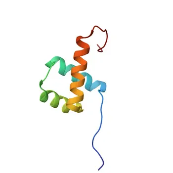 Anti-PITX2 (Pituitary homeobox 2) Rabbit Polyclonal Antibody for WB, ELISA - Q99697