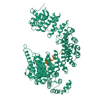 Anti-FUS Rabbit Polyclonal Antibody for WB, IHC-P, IP, ELISA - P35637