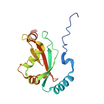 Anti-CCDC50 Rabbit Polyclonal Antibody for WB and ELISA - Q8IVM0