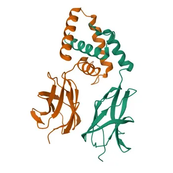 Anticorpo policlonale anti-EBF3 per WB, ELISA - Q9H4W6