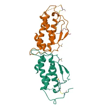 Anti-KITLG Rabbit Polyclonal Antibody for WB, IF/ICC, ELISA - P21583