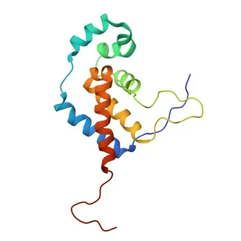 Anticorpo policlonale anti-NAB1 per WB, ELISA - Q13506