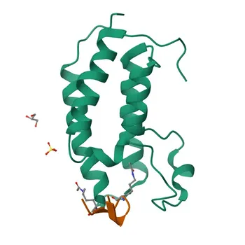 Anticorpo Policlonal de Coelho BRD3 para WB, IHC-P, ELISA - Q15059