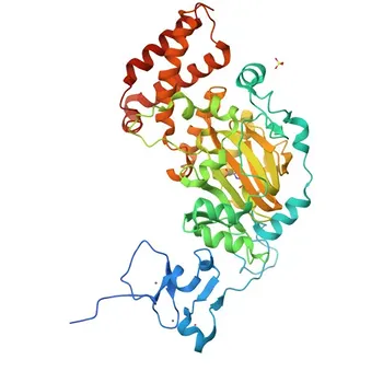 Anticorpo Policlonale Anti-KDM7A per IHC-P ed ELISA - Q6ZMT4