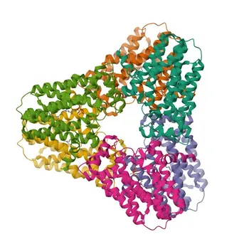 Anticorpo policlonale Anti-GGPS1 per WB, ELISA - O95749