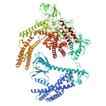 Anti-PREX1-polykolonaler Antikörper für WB, ELISA – Q8TCU6