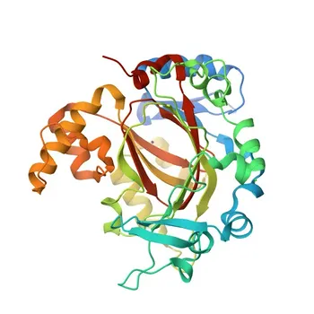 Anticorpo policlonale Anti-KDM3B per WB, IHC-P, ELISA - Q7LBC6