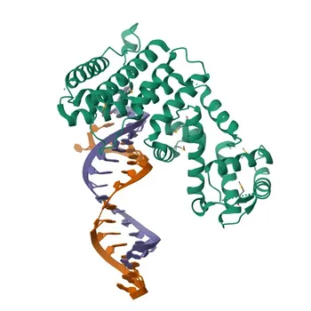 Anticorpo Policlonale Anti-RC3H1/Roquin-1 per WB & ELISA - Q5TC82