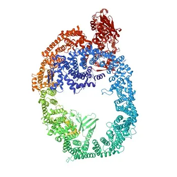 Anticorpo policlonale anti-HUWE1 per WB ed ELISA - Q7Z6Z7