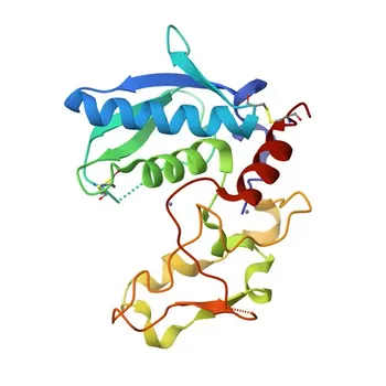 Anti-BMP1 Polyclonal Antibody for IF/ICC, ELISA - P13497
