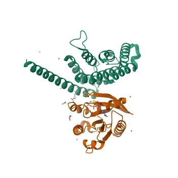 Anti-ARFGEF1 Rabbit Polyclonal Antibody for WB, ELISA - Q9Y6D6
