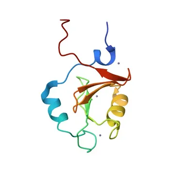 Anticorpo policlonale anti-USP33 per WB, IHC-P, IF/ICC, ELISA - Q8TEY7